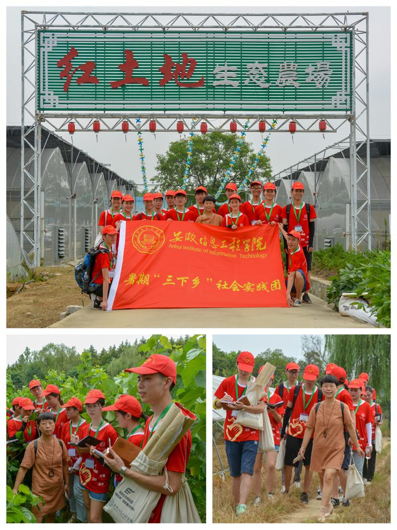 3.图为团队走进红土地农民专业合作社科技育苗中心.jpg