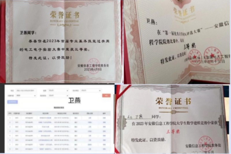 图为卫燕获得奖项.jpg