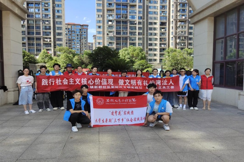 图为“凌霄花”实践团新都社区开展活动合照.jpg