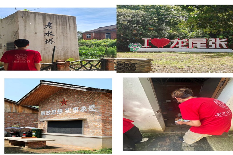图为实践团成员在芜湖市湾沚区龙尾张村现场走访.jpg