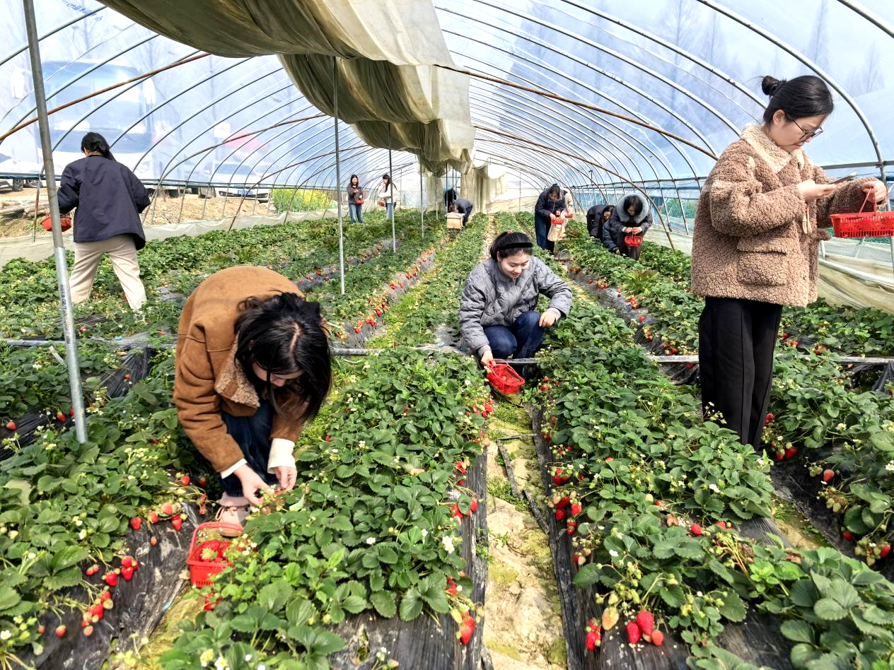 图片2.png 图片2.png