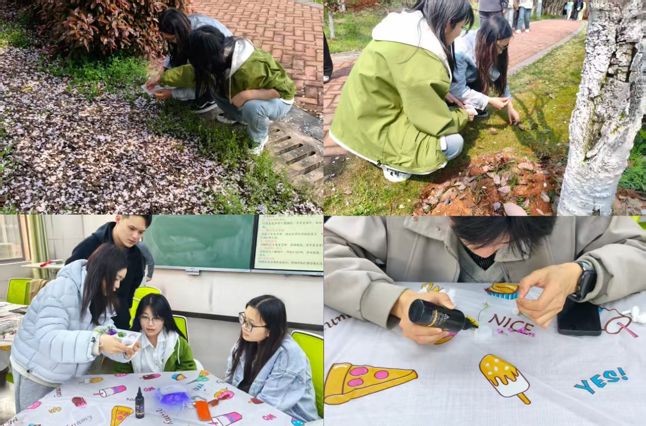 图片1.png 图片1.png