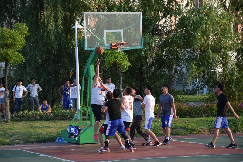 31-1.jpg