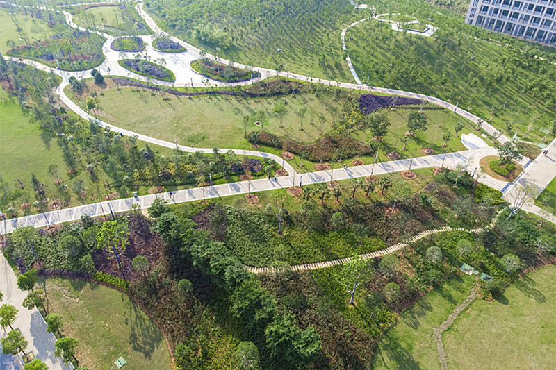 DJI_0184.jpg
