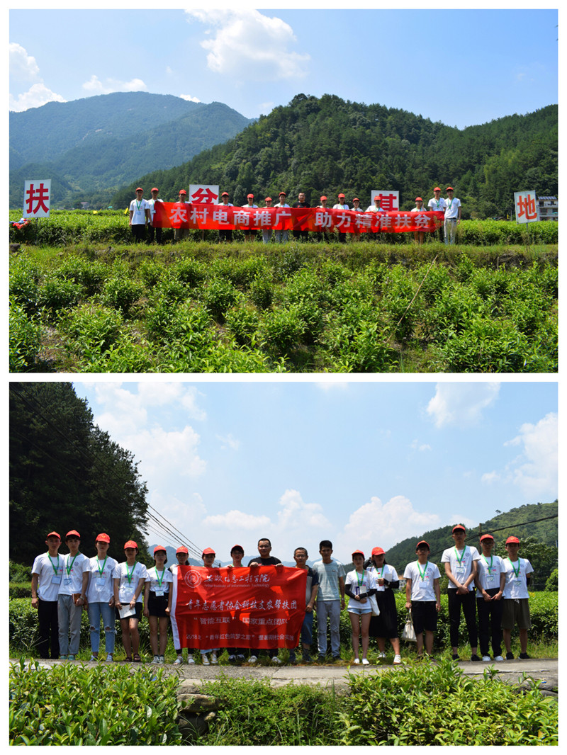 6.图为团队在茶叶采摘基地与领导和农户合影.jpg