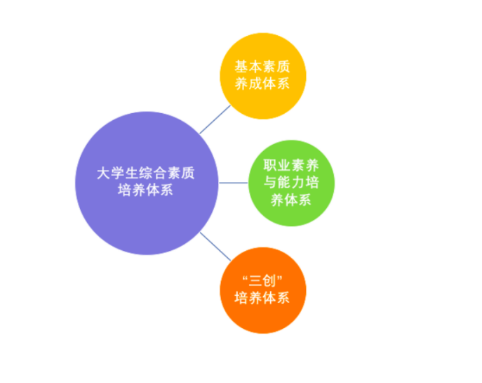 大学生综合素质与能力培养体系1.0.png