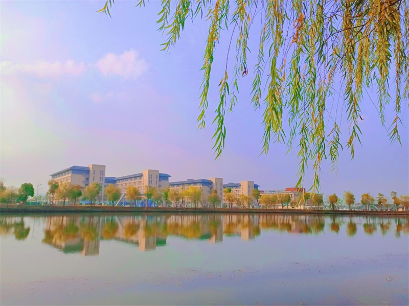 图片 21.png