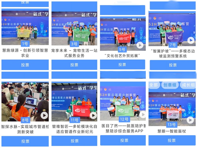 图为线上大众投票.jpg