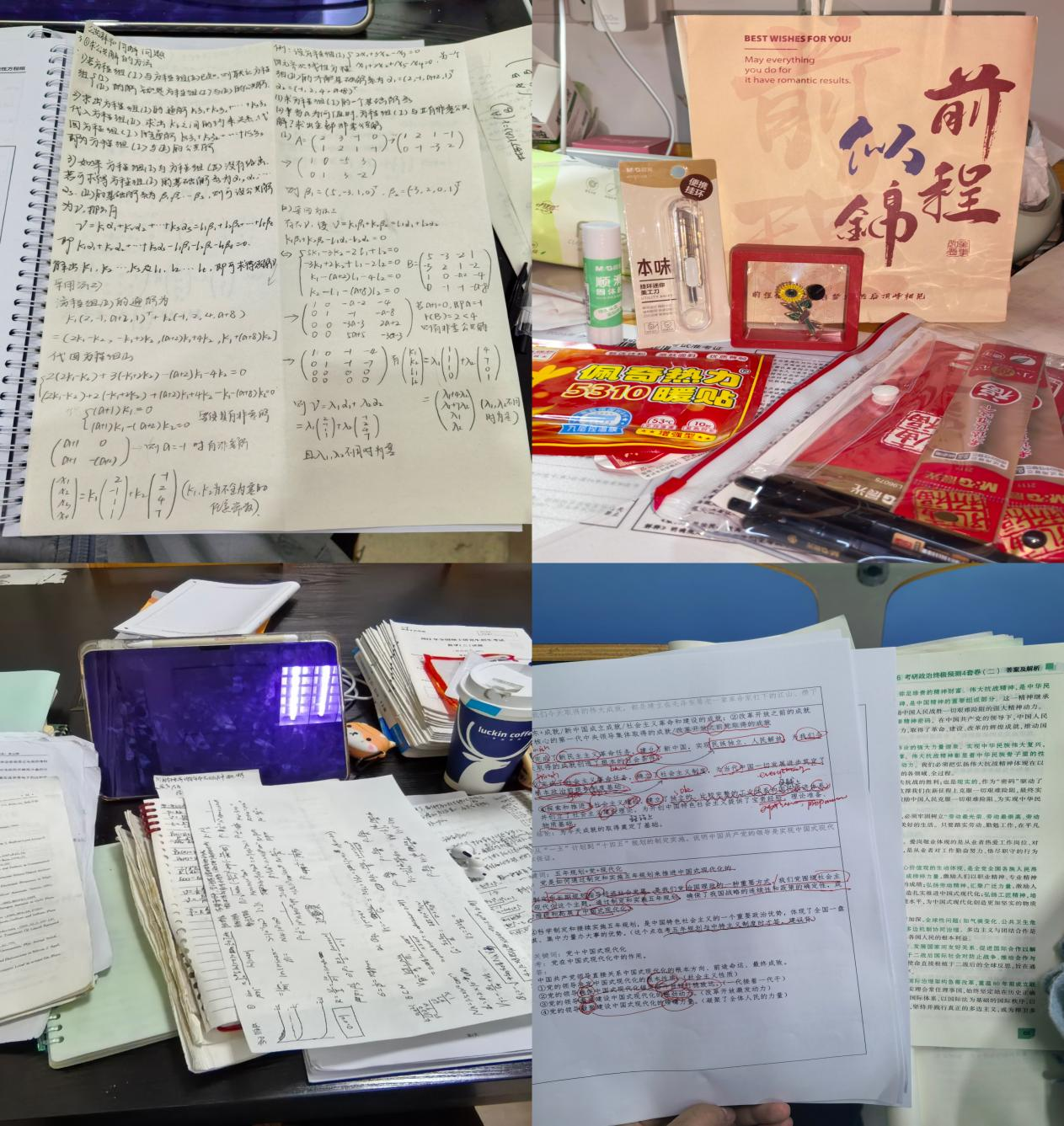杨子璇.png 杨子璇.png