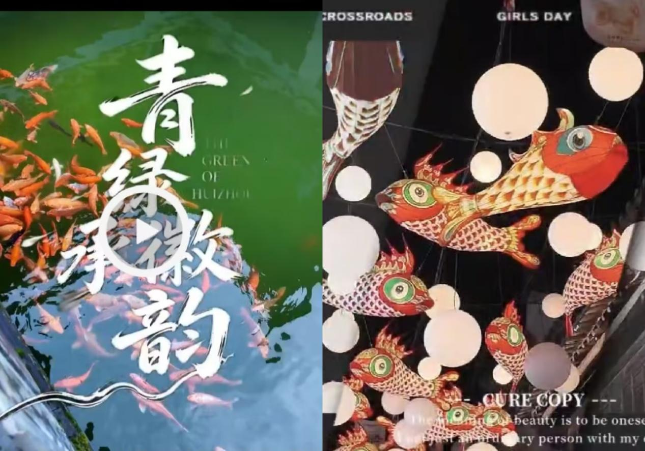 图片17.png 图片17.png