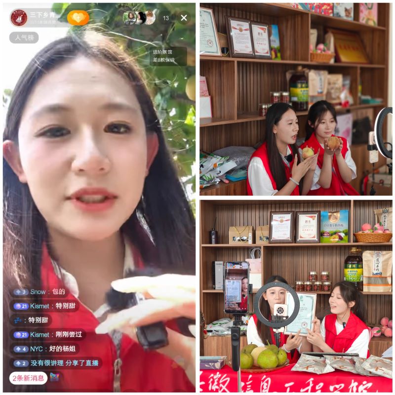 null 图片19.jpg
