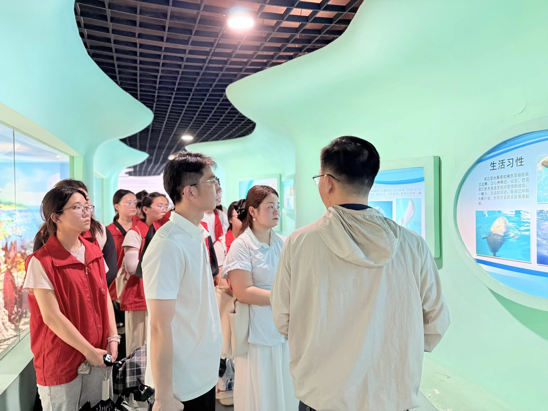 图片7.png 图片7.png