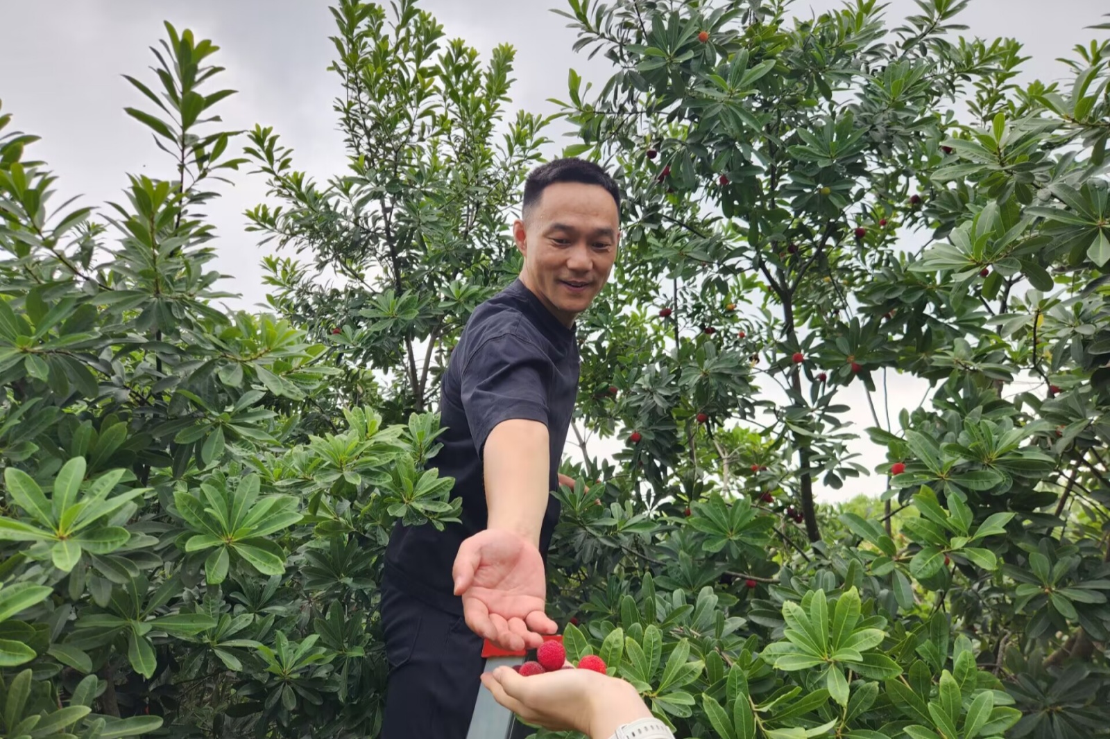 沙龙飞.jpg 沙龙飞.jpg