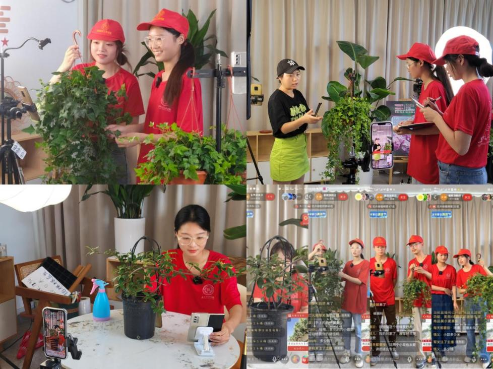 图片3.png 图片3.png