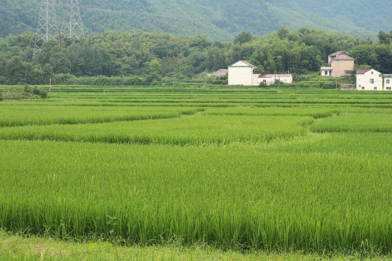 图片3.jpg 图片3.jpg