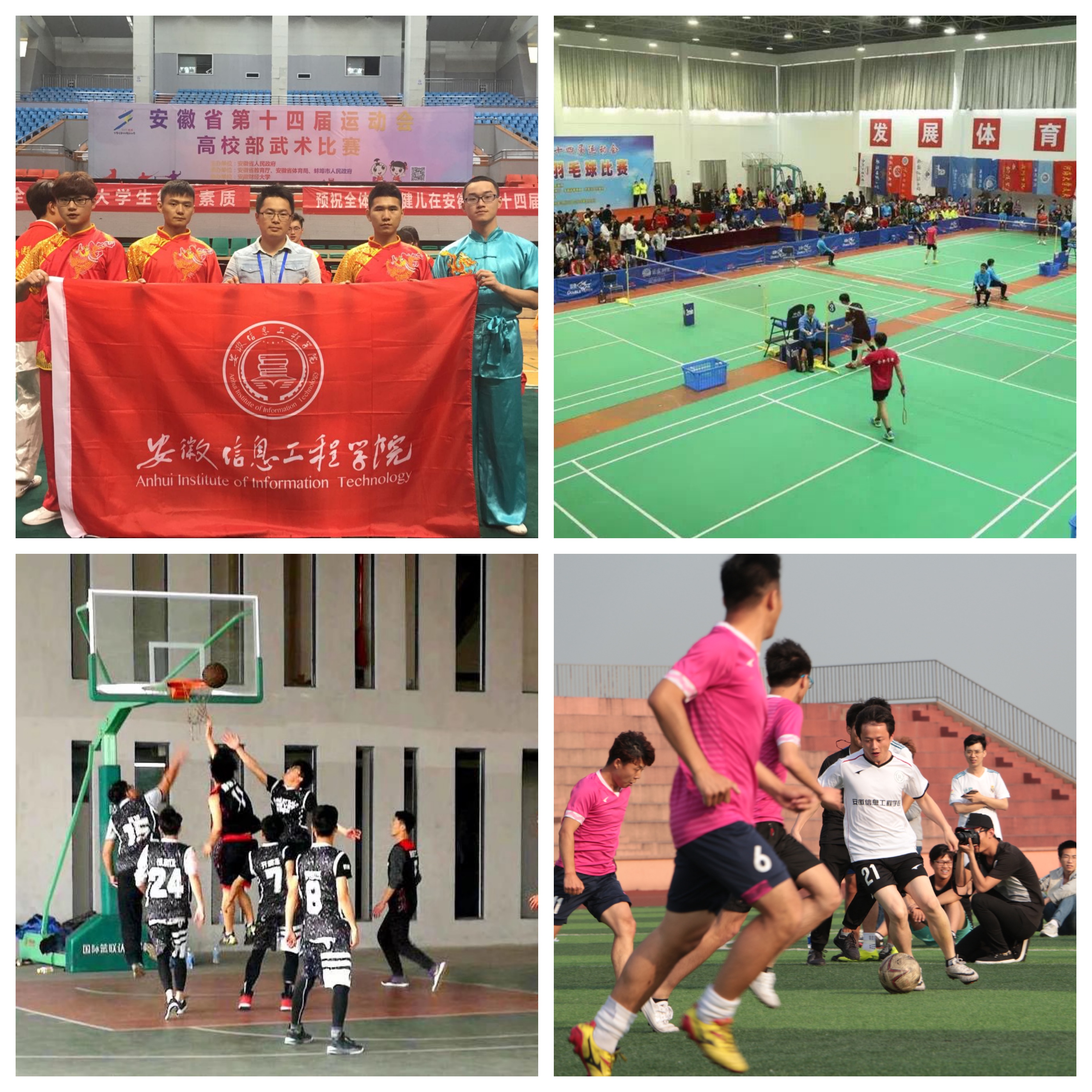 Collage_Fotor.jpg Collage_Fotor.jpg