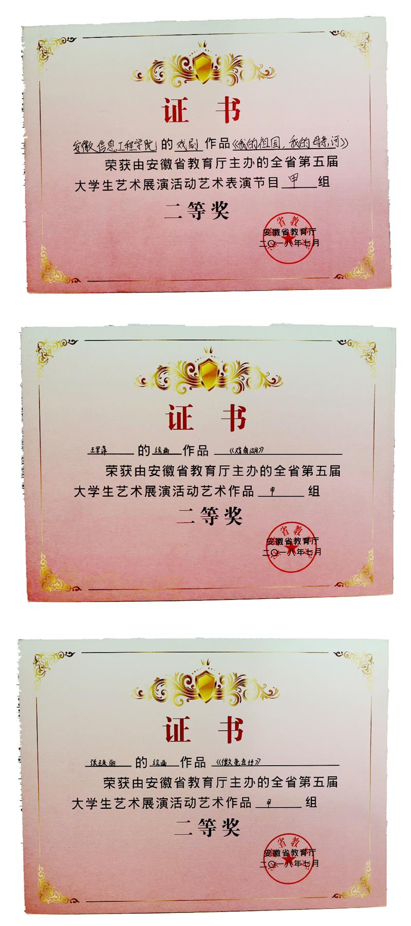 2.安徽省第五届大学生艺术展演活动二等奖获奖证书.JPG