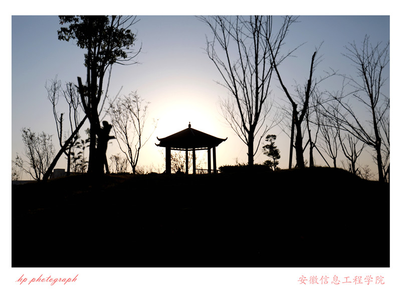 新芜校区 (7).jpg