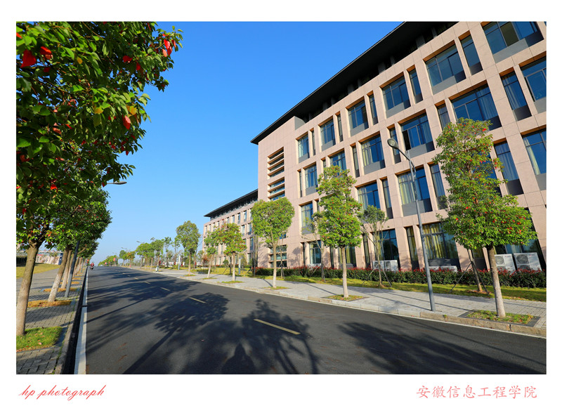 新芜校区 (22).jpg