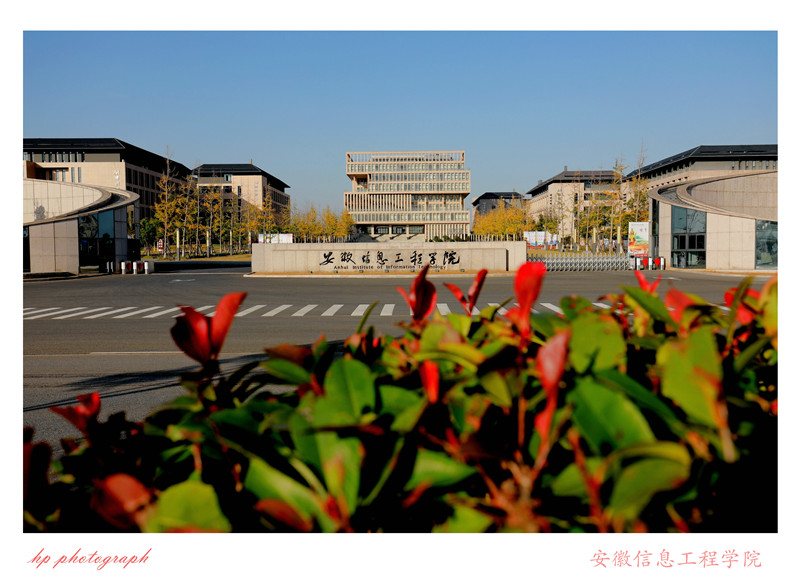 新芜校区 (28).jpg