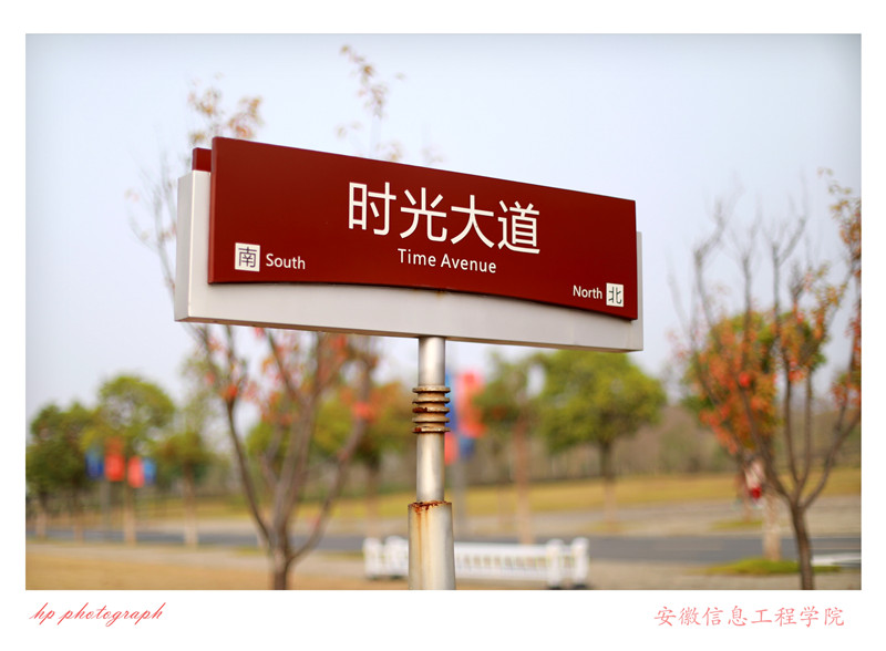 新芜校区 (58).jpg