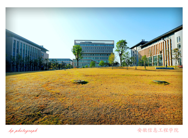 新芜校区 (63).jpg