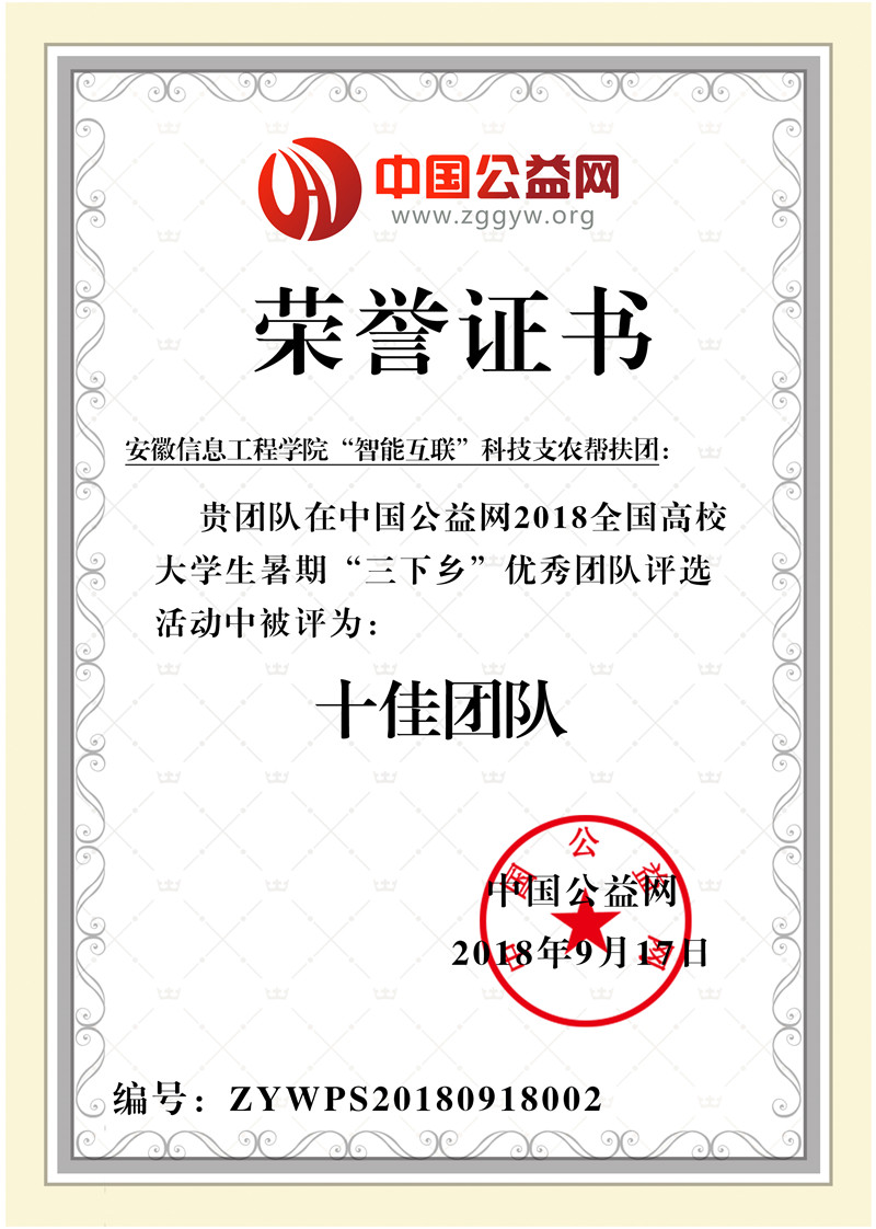 4.全国十佳团队获奖证书.jpg