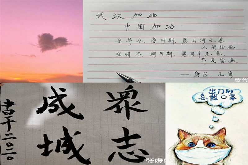 图片1.png 图片1.png