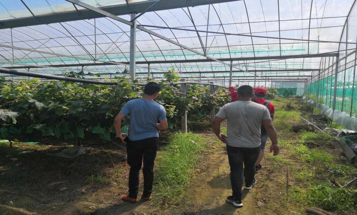 图片2.png 图片2.png