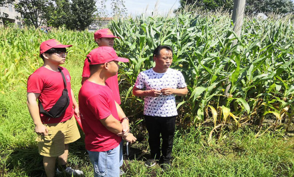 图片4.png 图片4.png