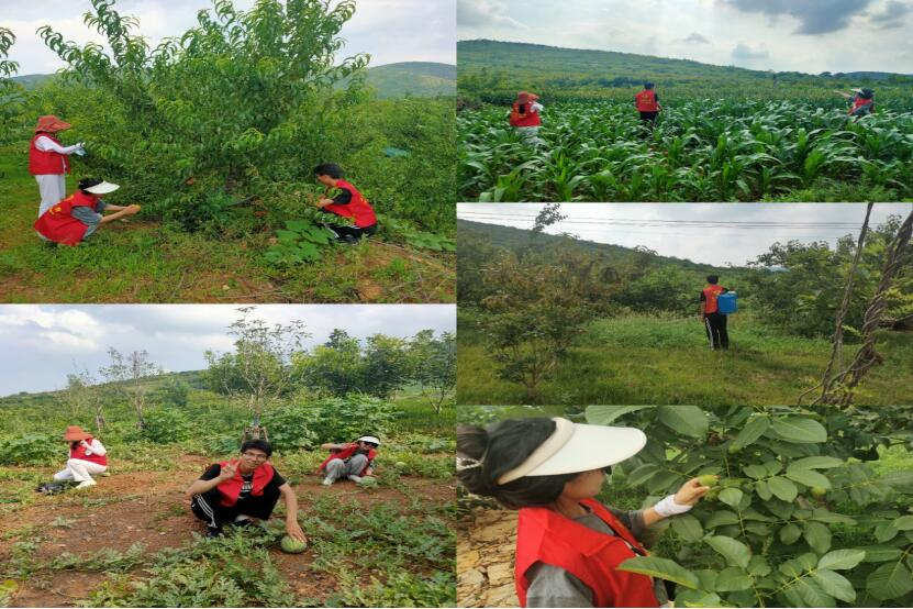 图片3.png 图片3.png