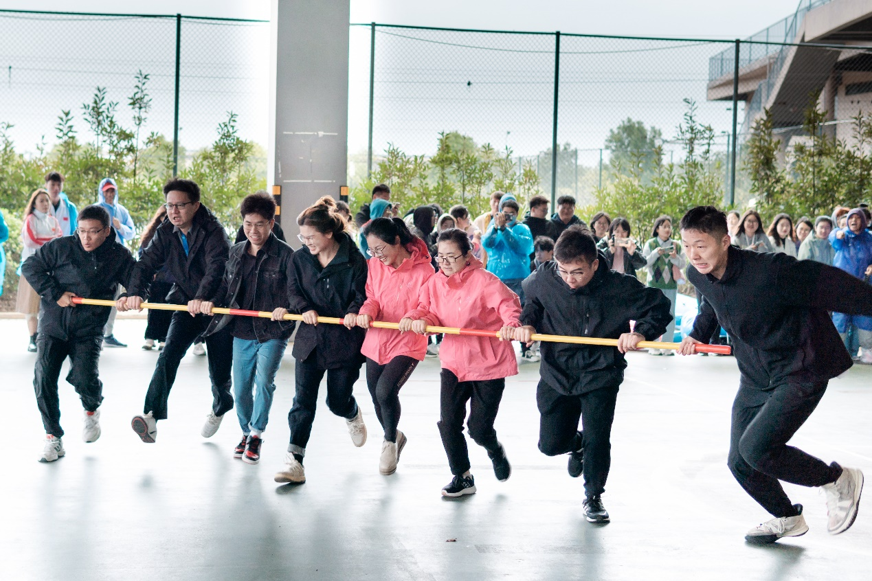 图片8.png 图片8.png