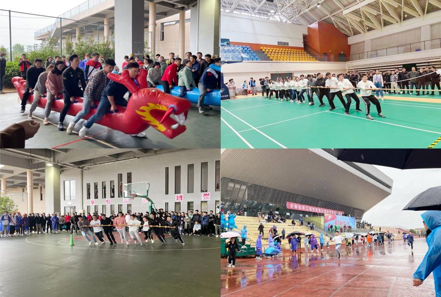 图片5.jpg 图片5.jpg