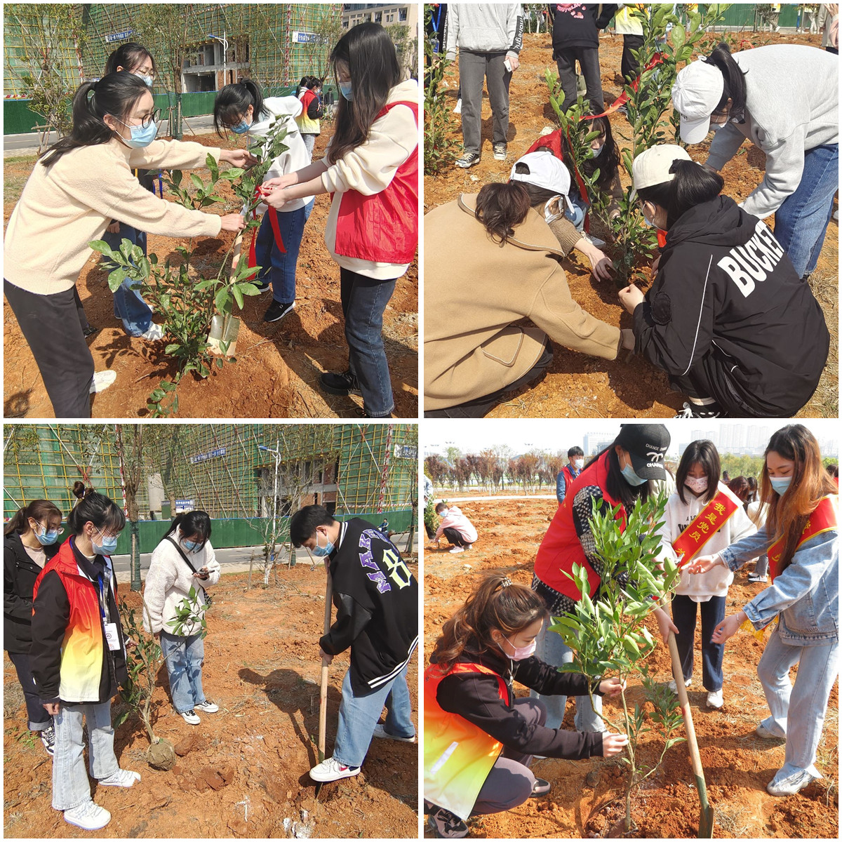 学生植树现场.jpg 学生植树现场.jpg