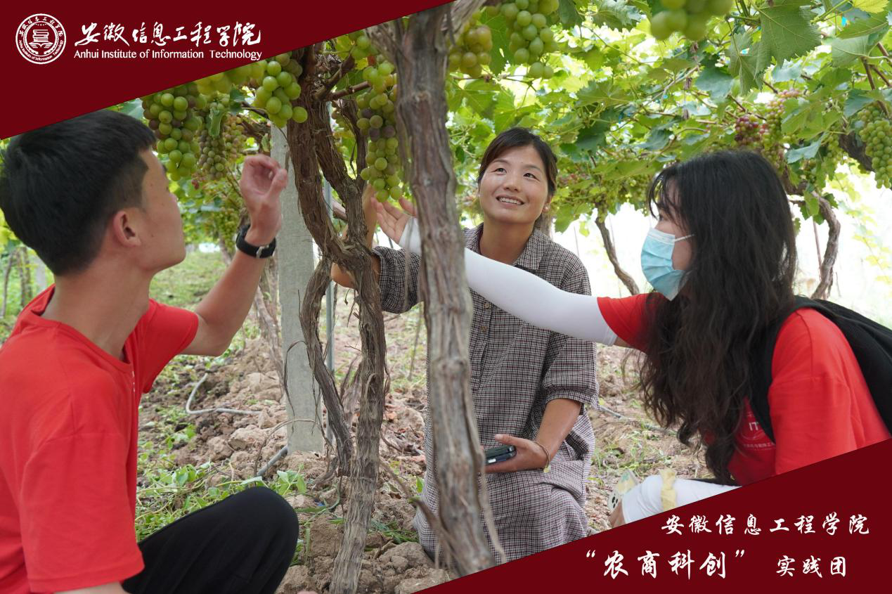 图片3.png 图片3.png