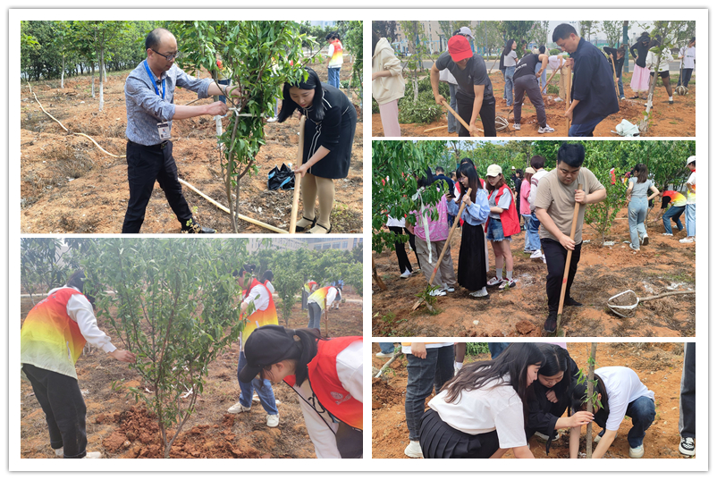 图为植树现场.jpg 图为植树现场.jpg