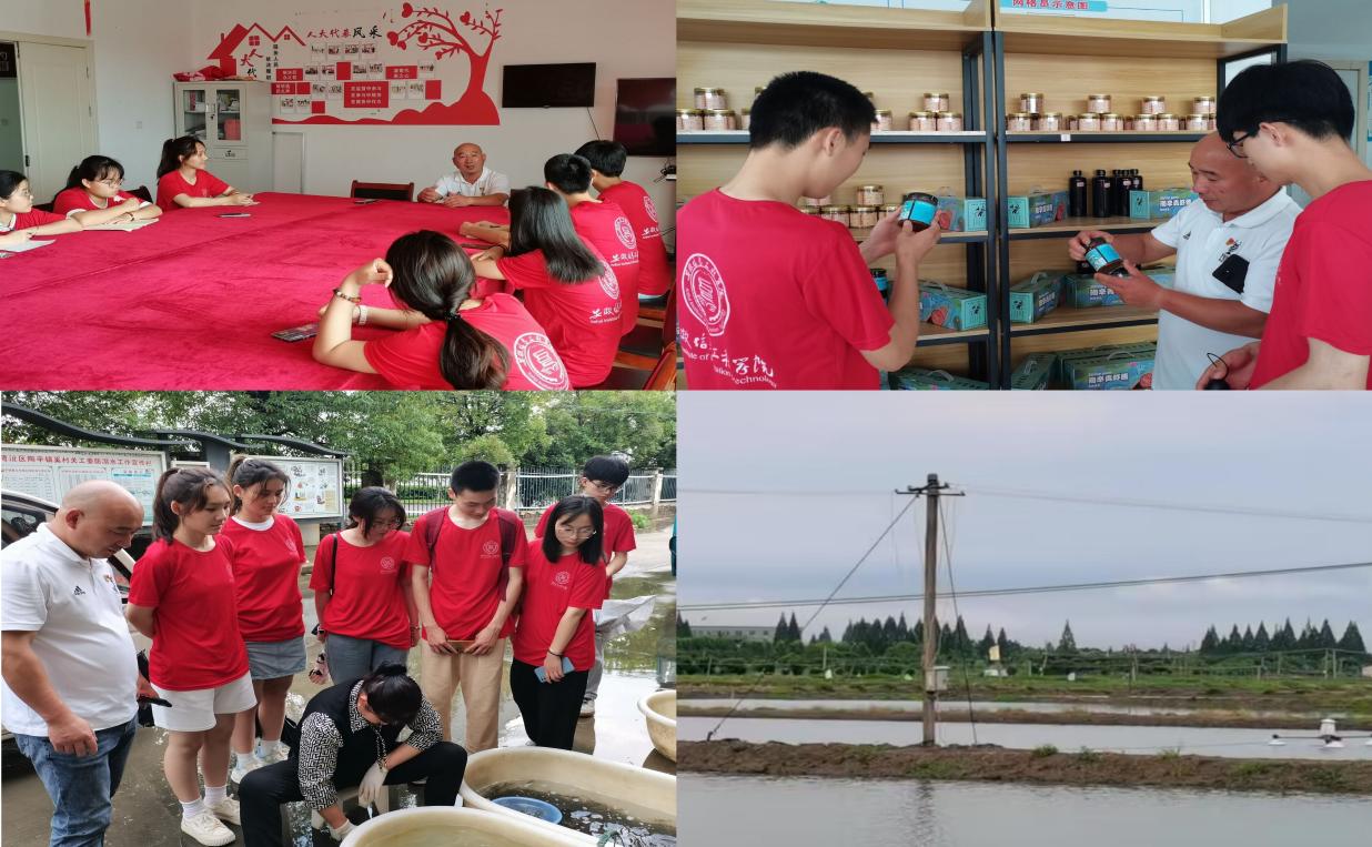 图片3.jpg 图片3.jpg