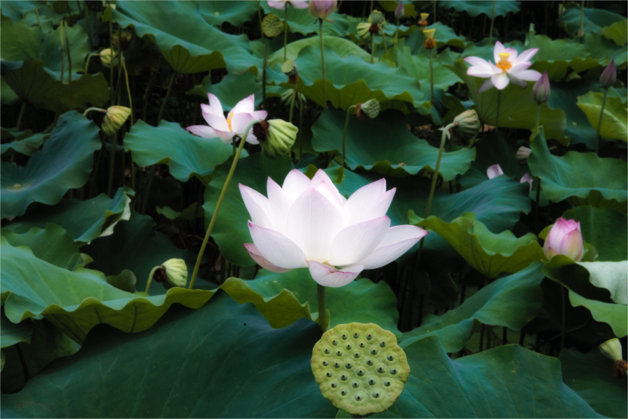 图片2.png 图片2.png