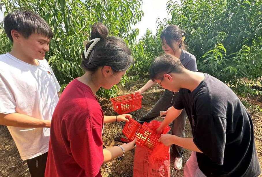 图片5.png 图片5.png