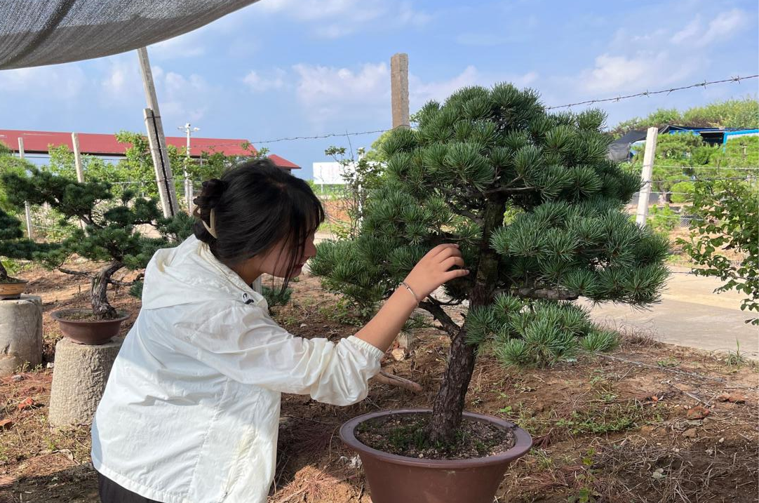 图片2.png 图片2.png