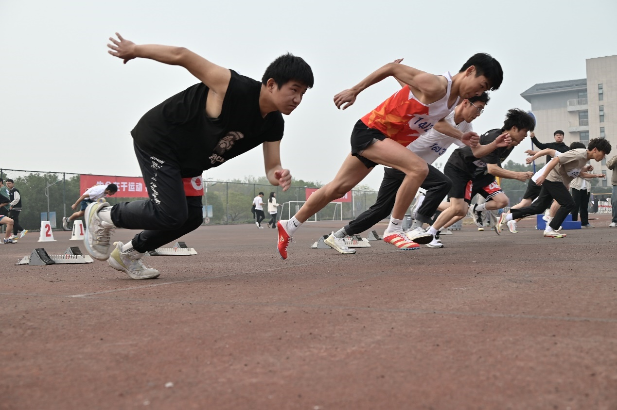 图片8.png 图片8.png