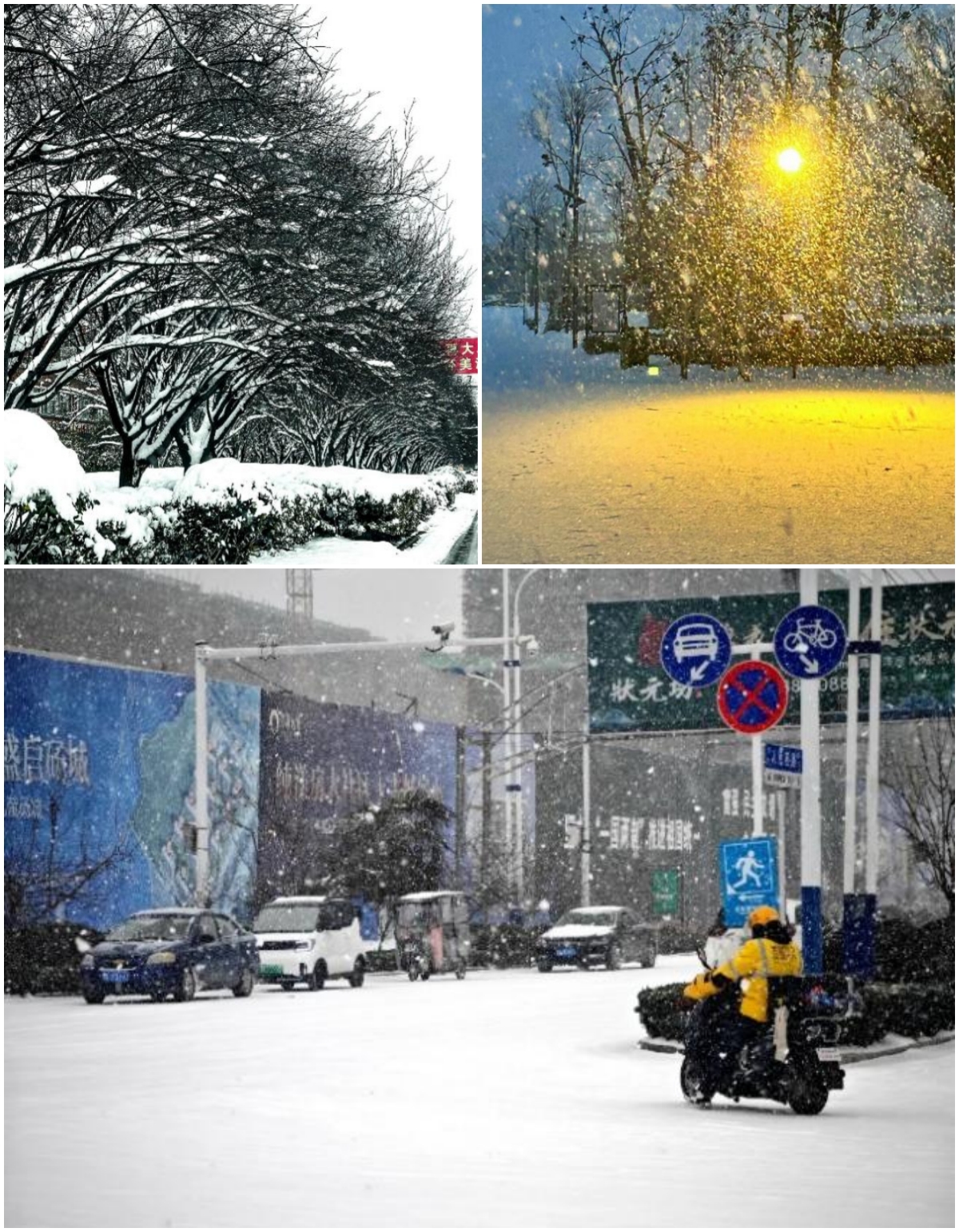 张心如.jpg 张心如.jpg