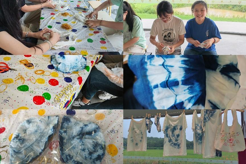 图片36.png 图片36.png