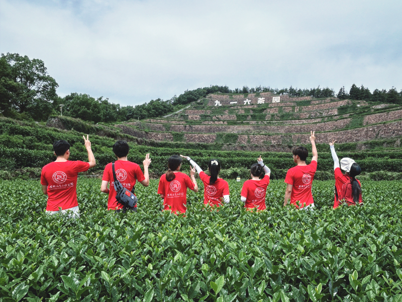 图片6.png 图片6.png